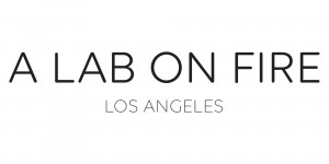 A Lab on Fire