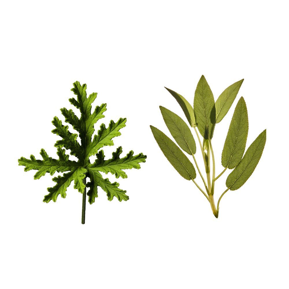 212 Heroes - Carolina Herrera - Gallery 1