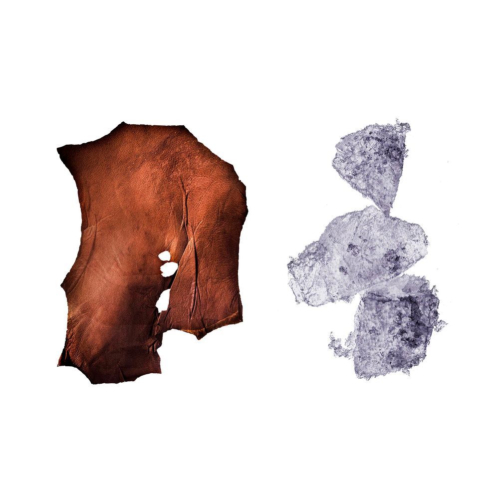 212 Heroes - Carolina Herrera - Gallery 2