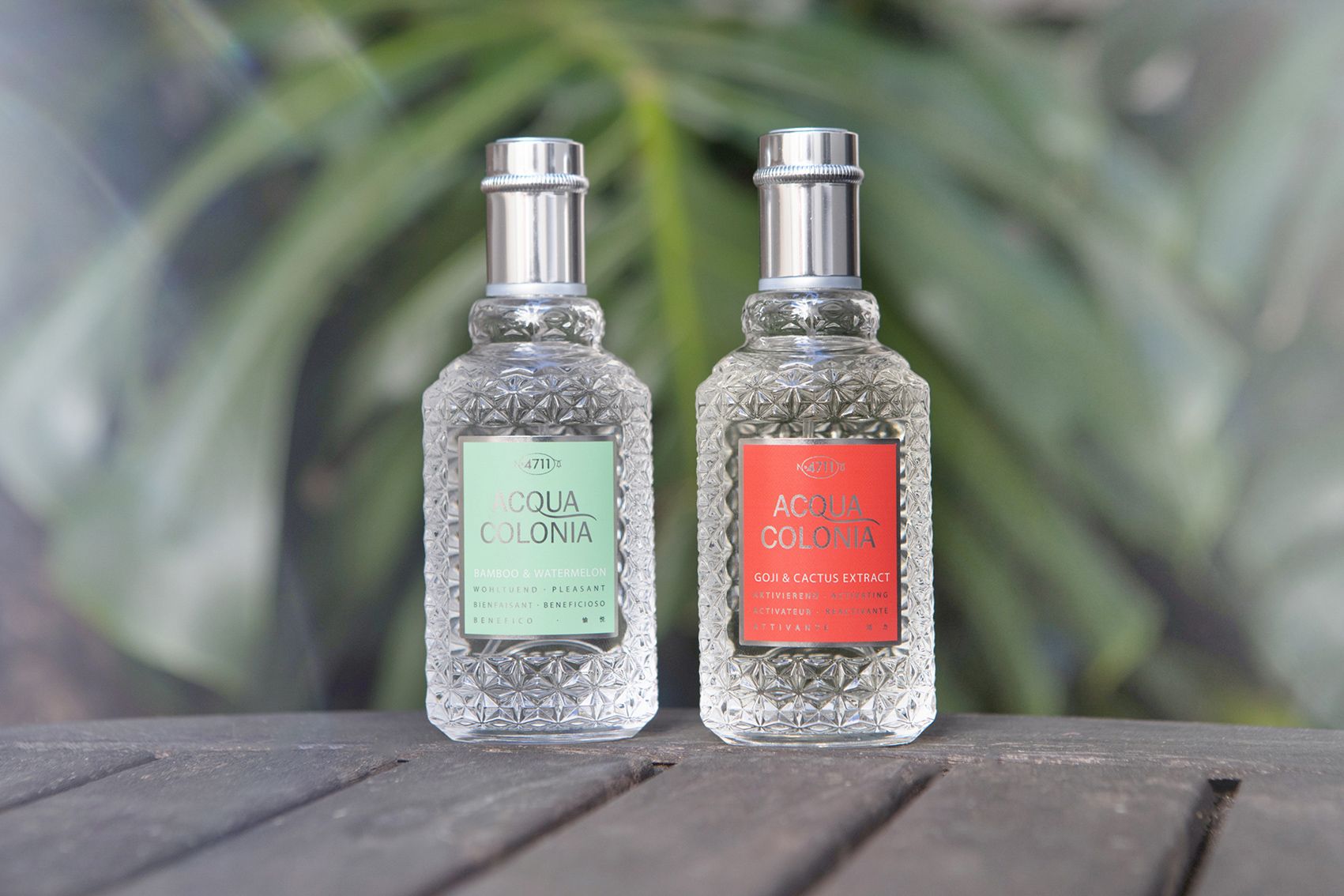 4711 Acqua Colonia Goji & Cactus Extract - 4711 - Gallery 1
