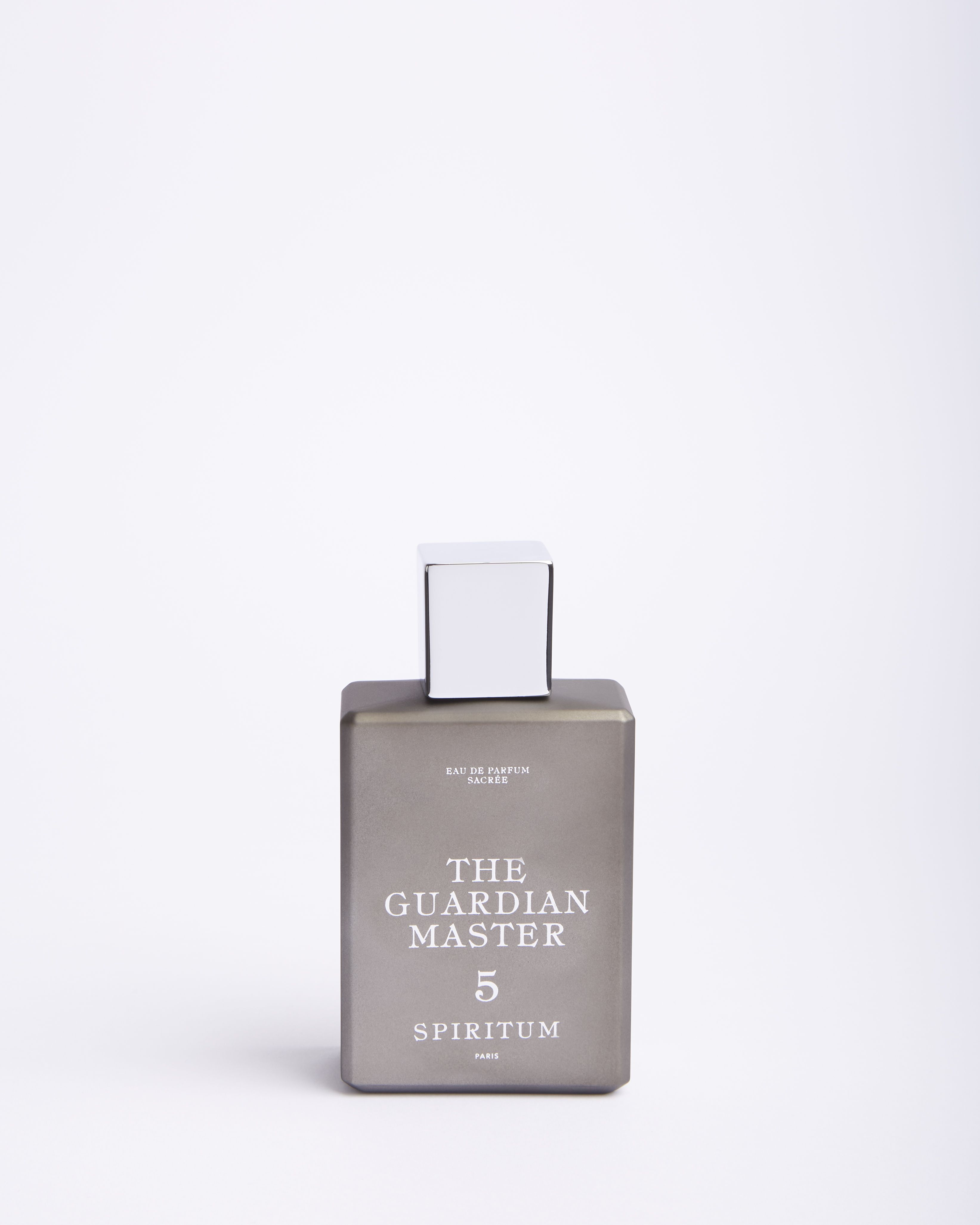5 The Guardian Master - Spiritum - Gallery 4
