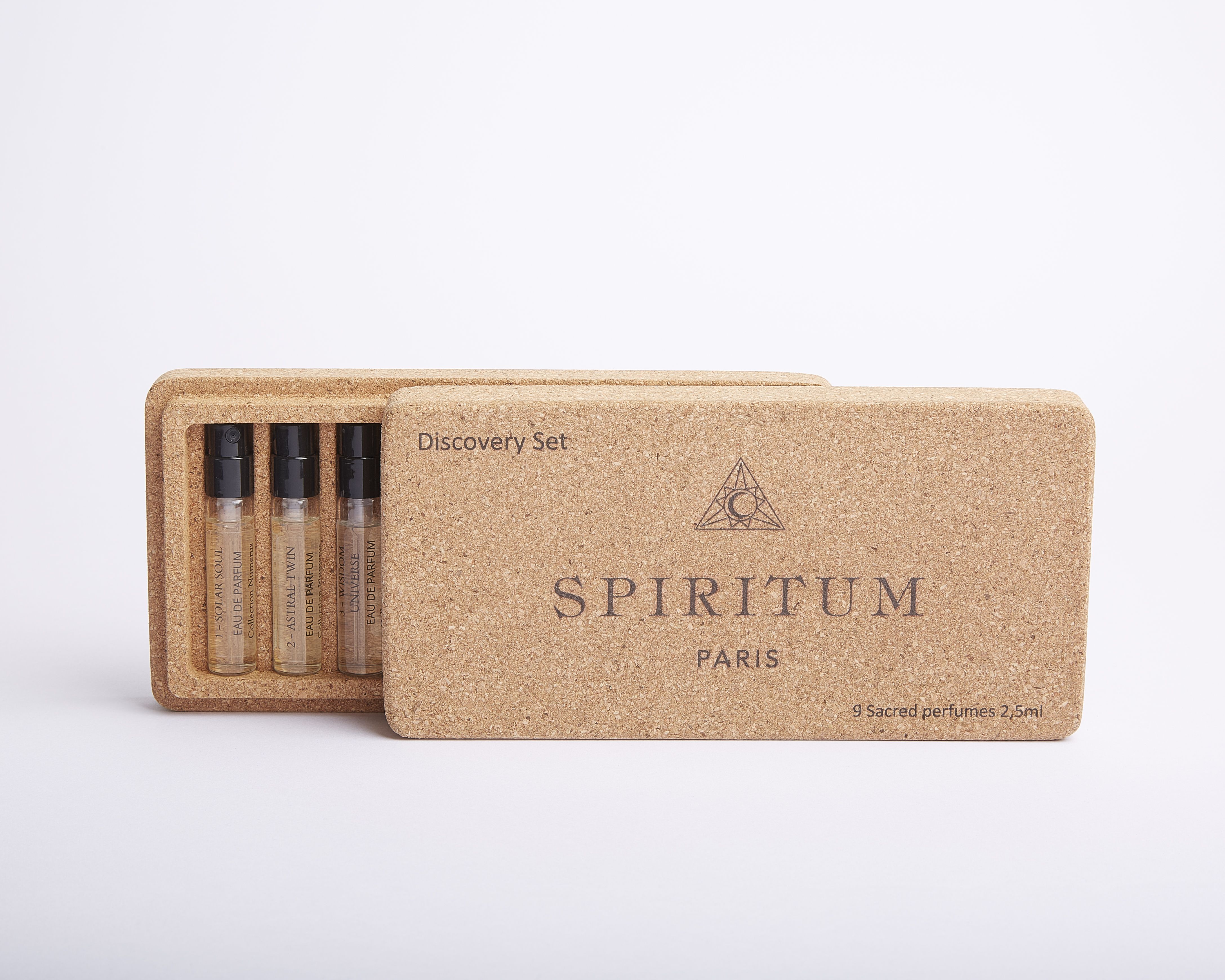5 The Guardian Master - Spiritum - Gallery 3