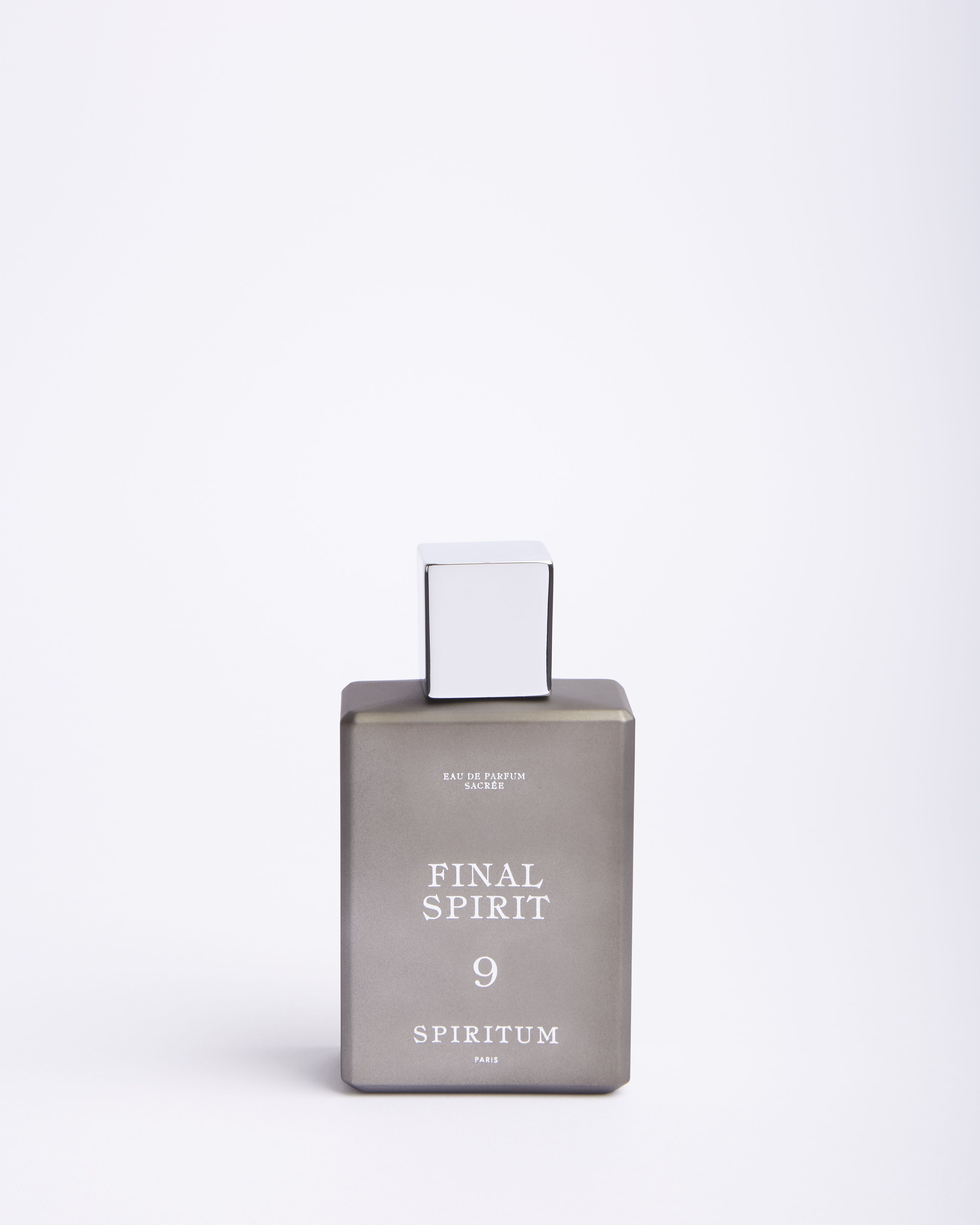 9 Final Spirit - Spiritum - Gallery 4