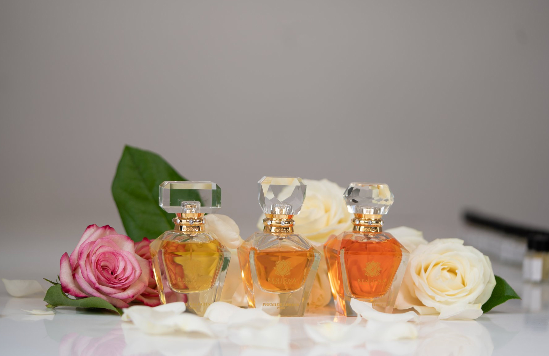 Absolute Celebration - Benigna Parfums - Gallery 3