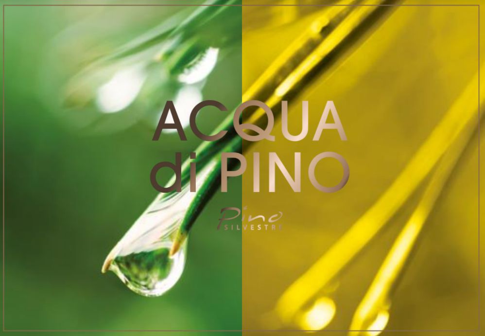 Acqua di Pino Cologne - Pino Silvestre - Gallery 2