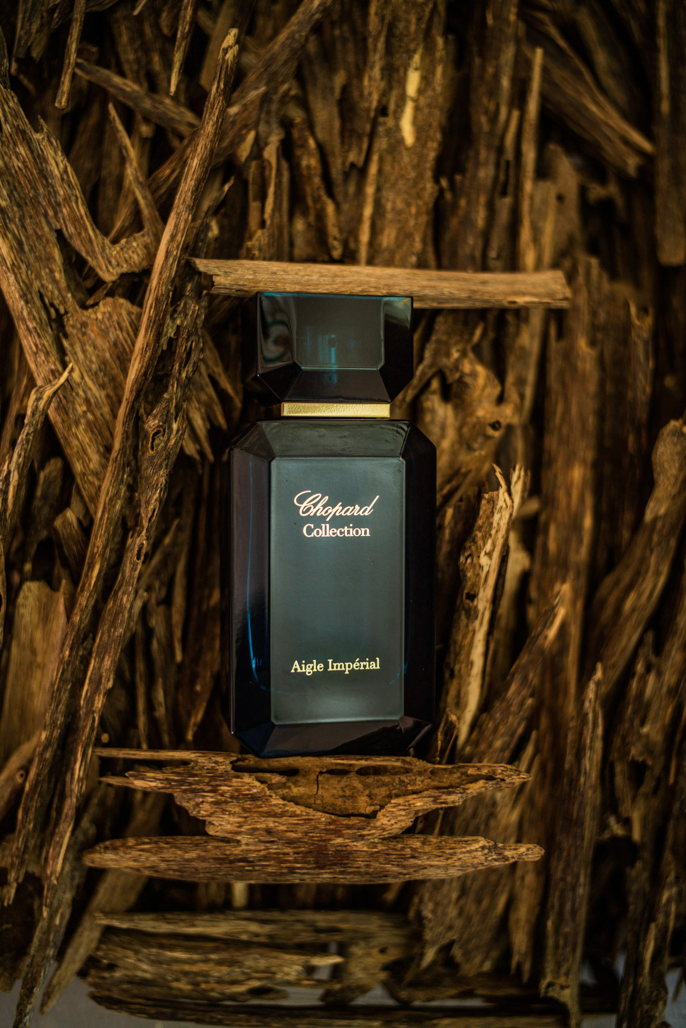 Agar Royal - Chopard - Gallery 2