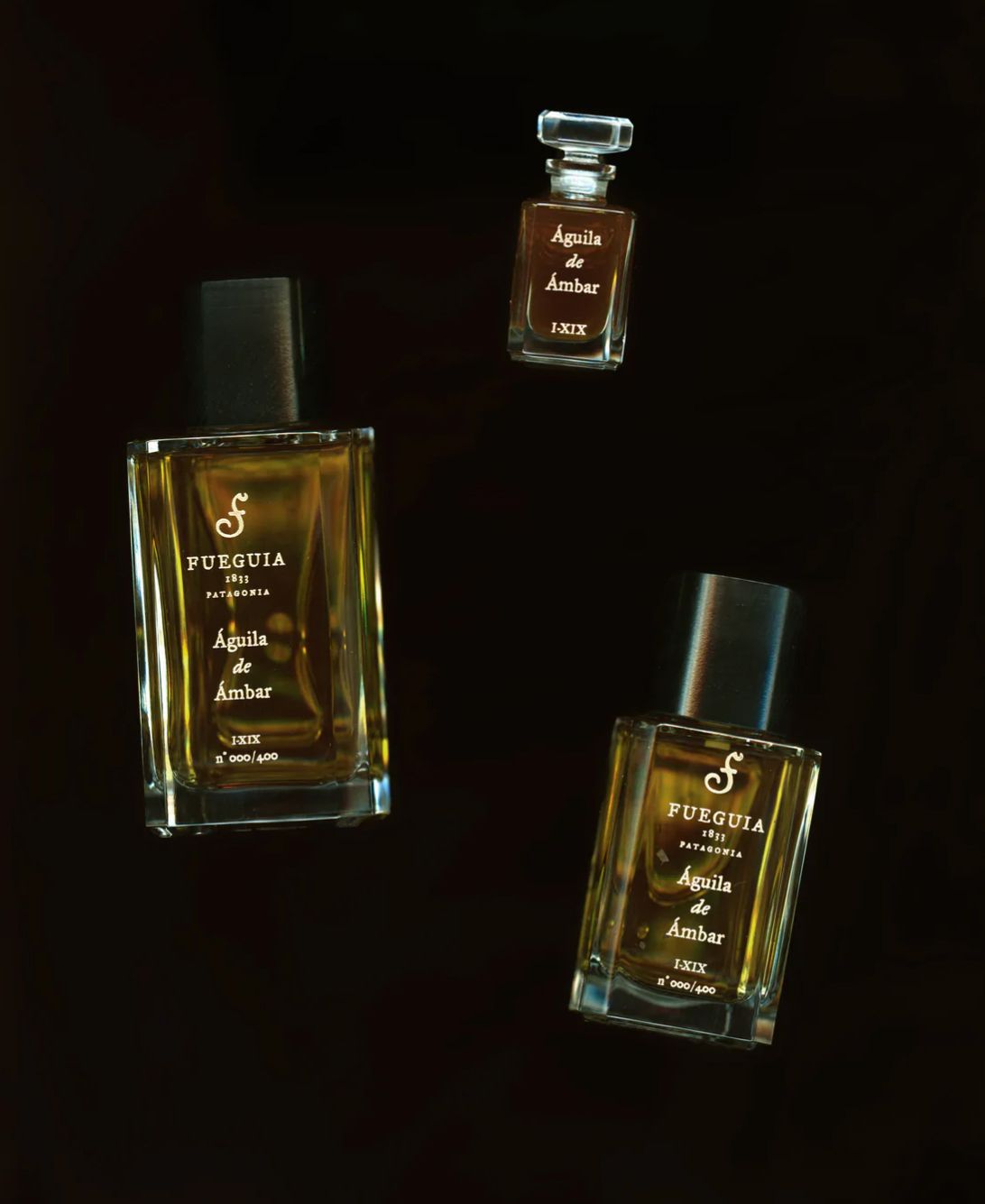 Aguila De Ambar - Fueguia 1833 - Gallery 2