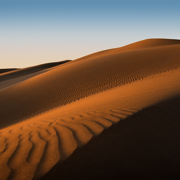 Al Sahra - The Different Company - Gallery 3