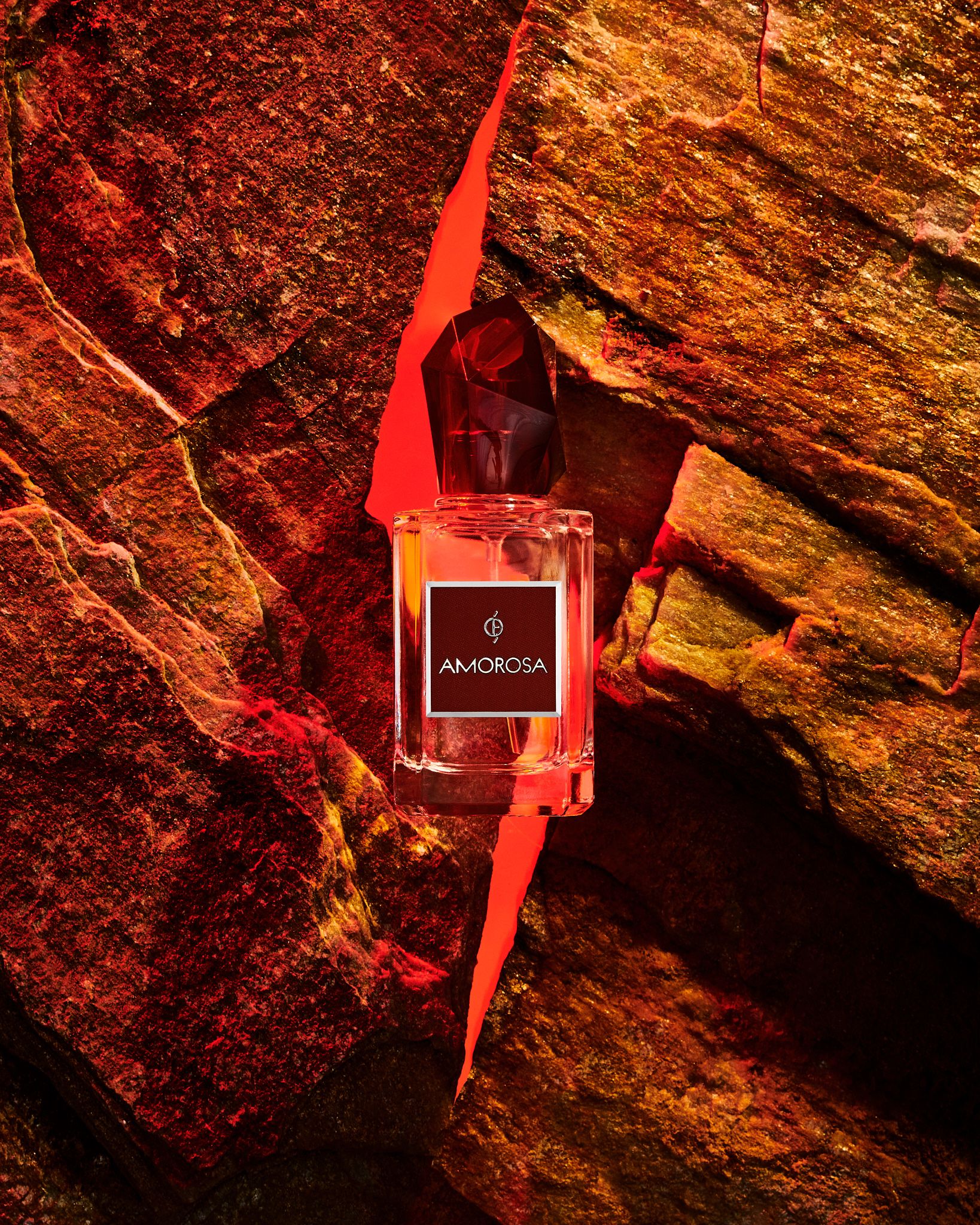 AMOROSA - Quearmé - Gallery 2