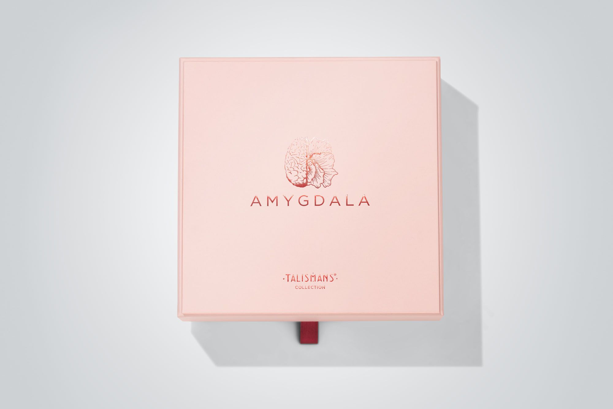 Amygdala - Mendittorosa - Gallery 3