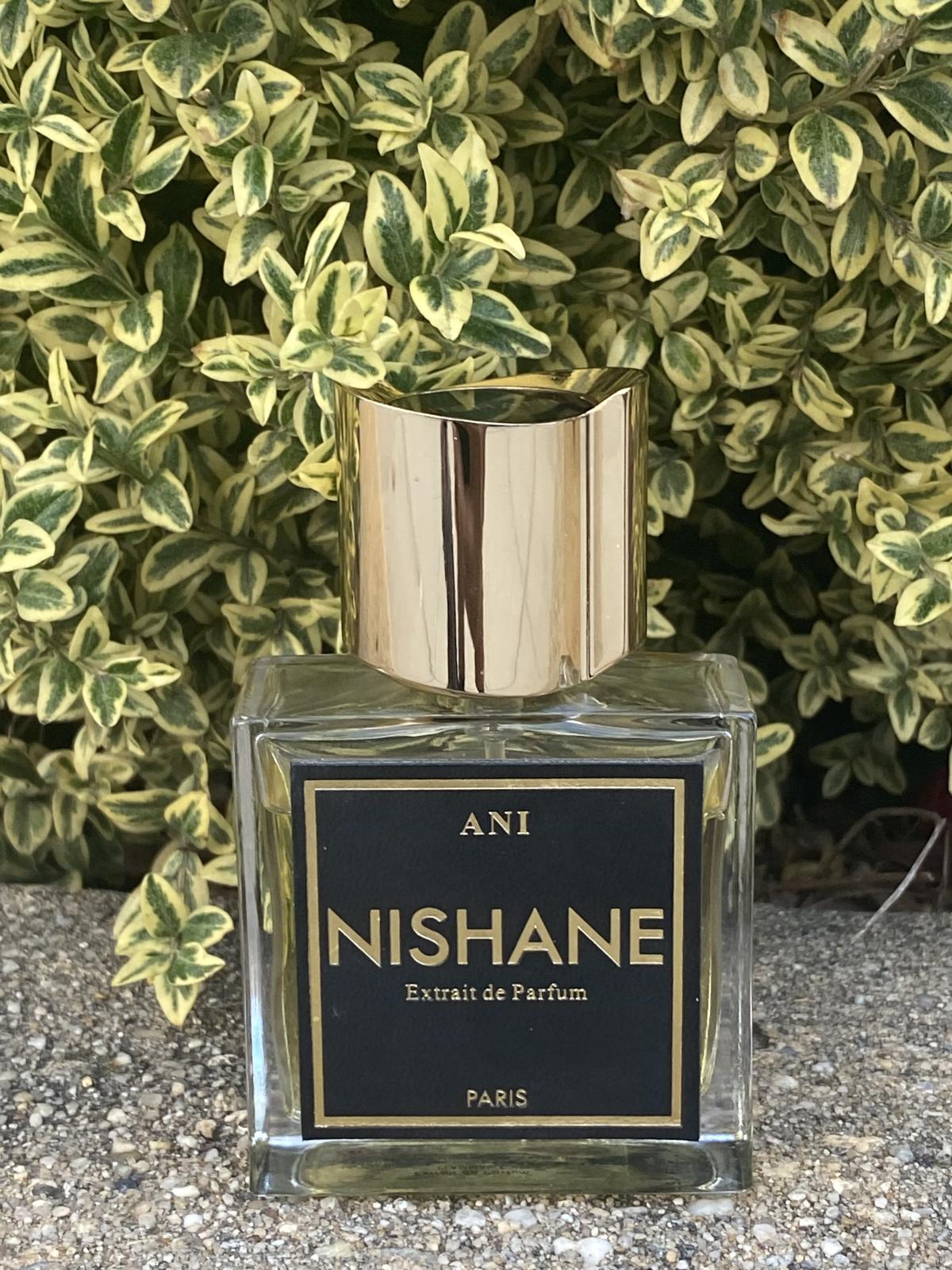 Ani - Nishane - Gallery 4