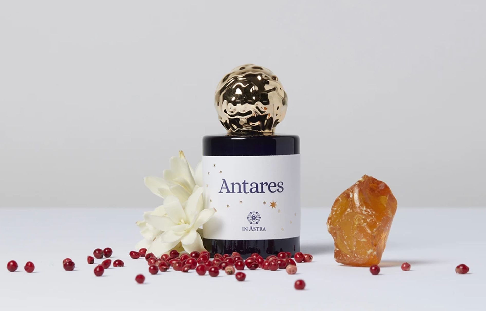Antares - In Astra - Gallery 2