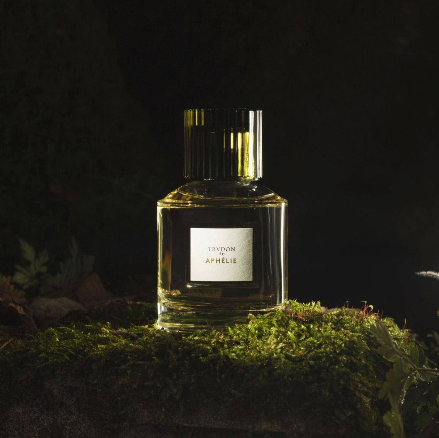 Aphélie - Maison Trudon - Gallery 2