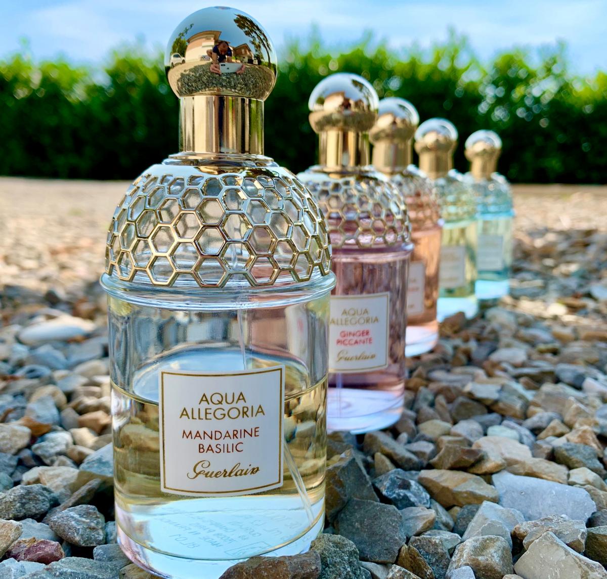 Aqua Allegoria Coconut Fizz - Guerlain - Gallery 3