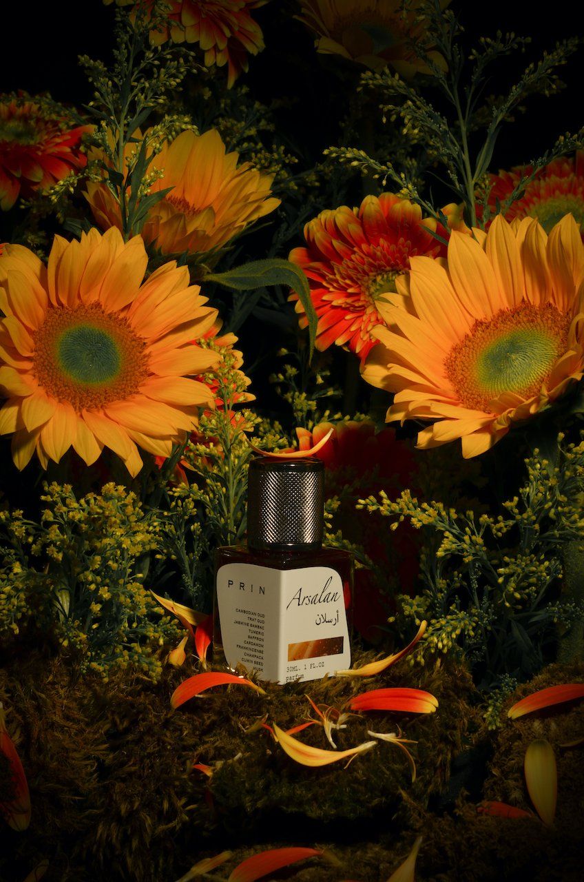 Arsalan - Prin - Gallery 2