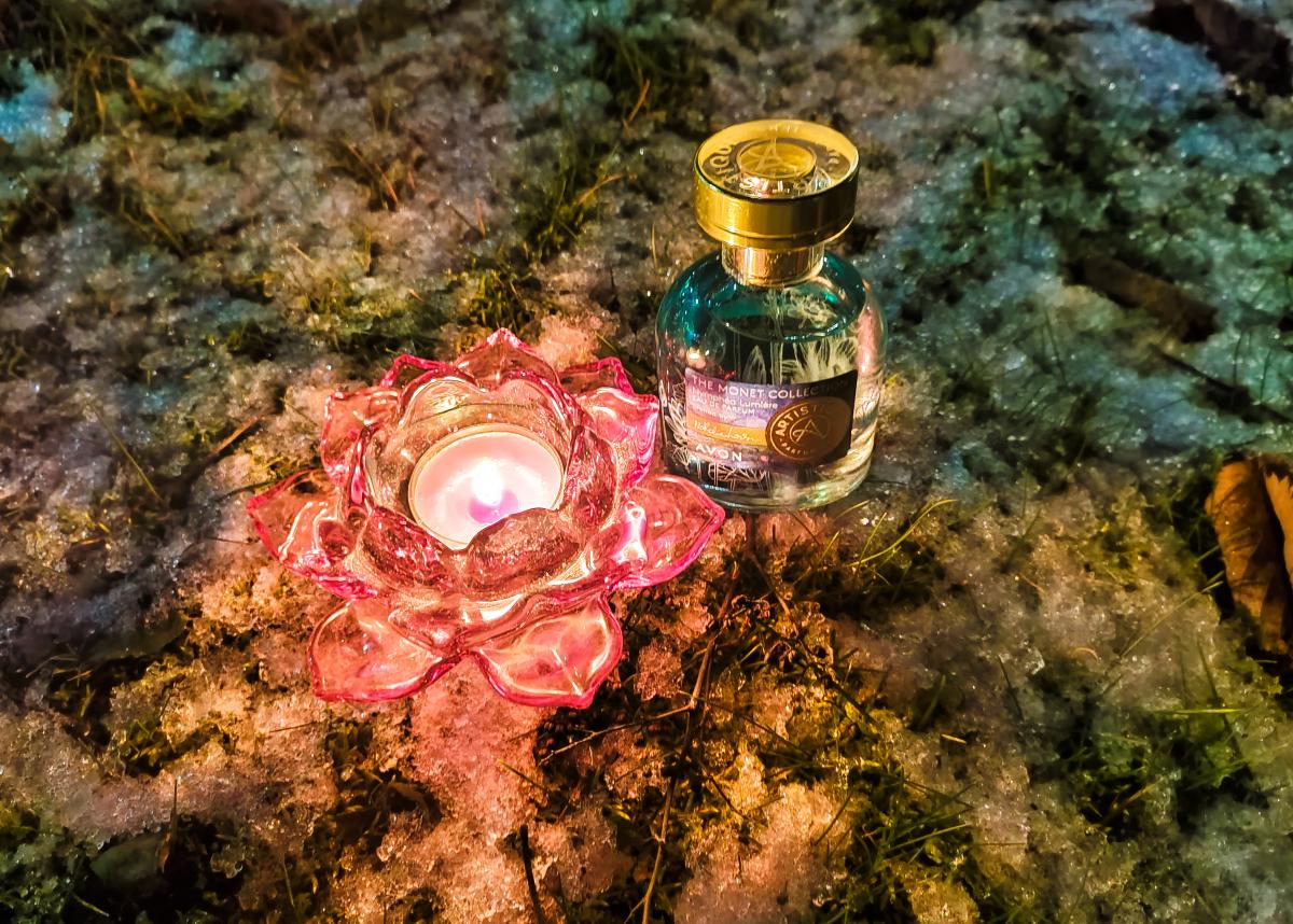 Artistique Nymphea Lumière - Avon - Gallery 1