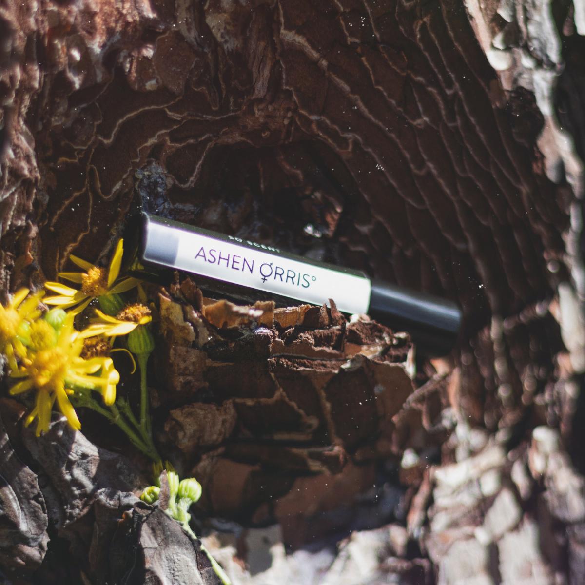 Ashen Orris - The Society of Scent - Gallery 1