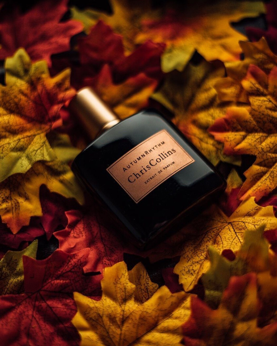 Autumn Rhythm - Chris Collins - Gallery 2