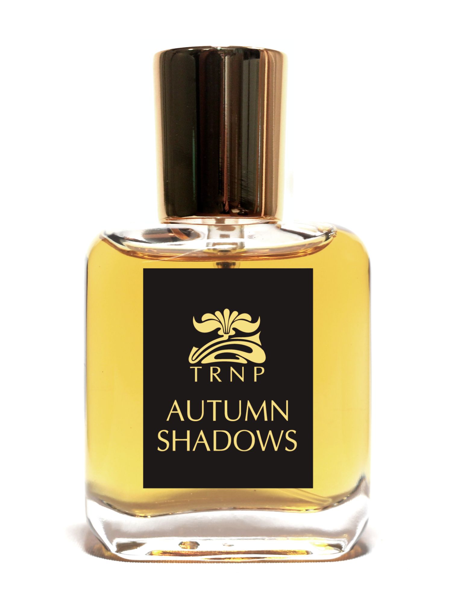 Autumn Shadows - TRNP - Gallery 1