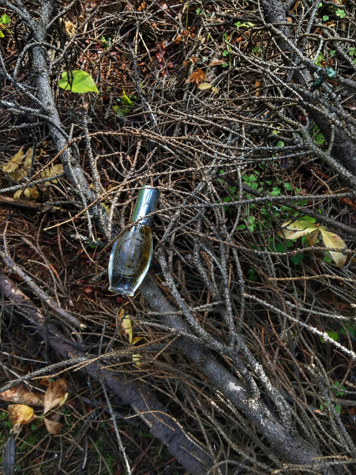 Baba Yaga Баба Яга - Ladanika - Gallery 1