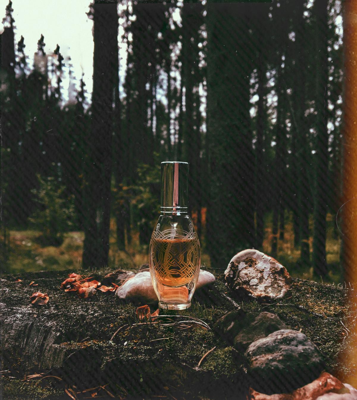 Baba Yaga Баба Яга - Ladanika - Gallery 4