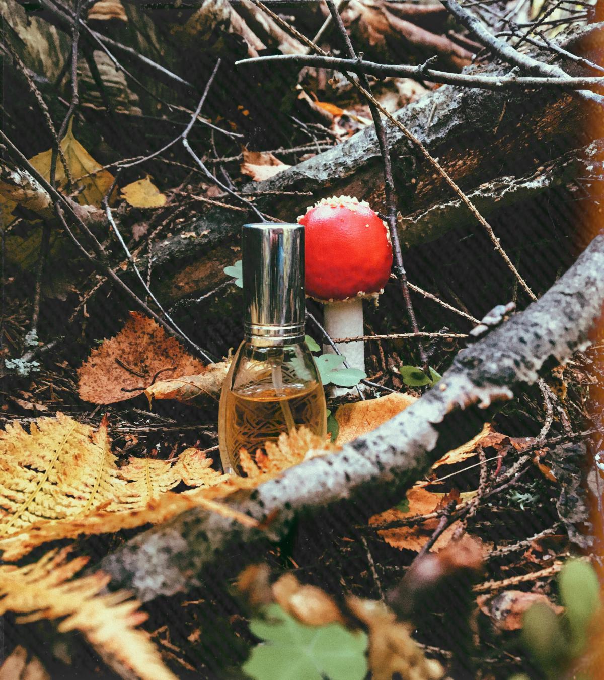 Baba Yaga Баба Яга - Ladanika - Gallery 2