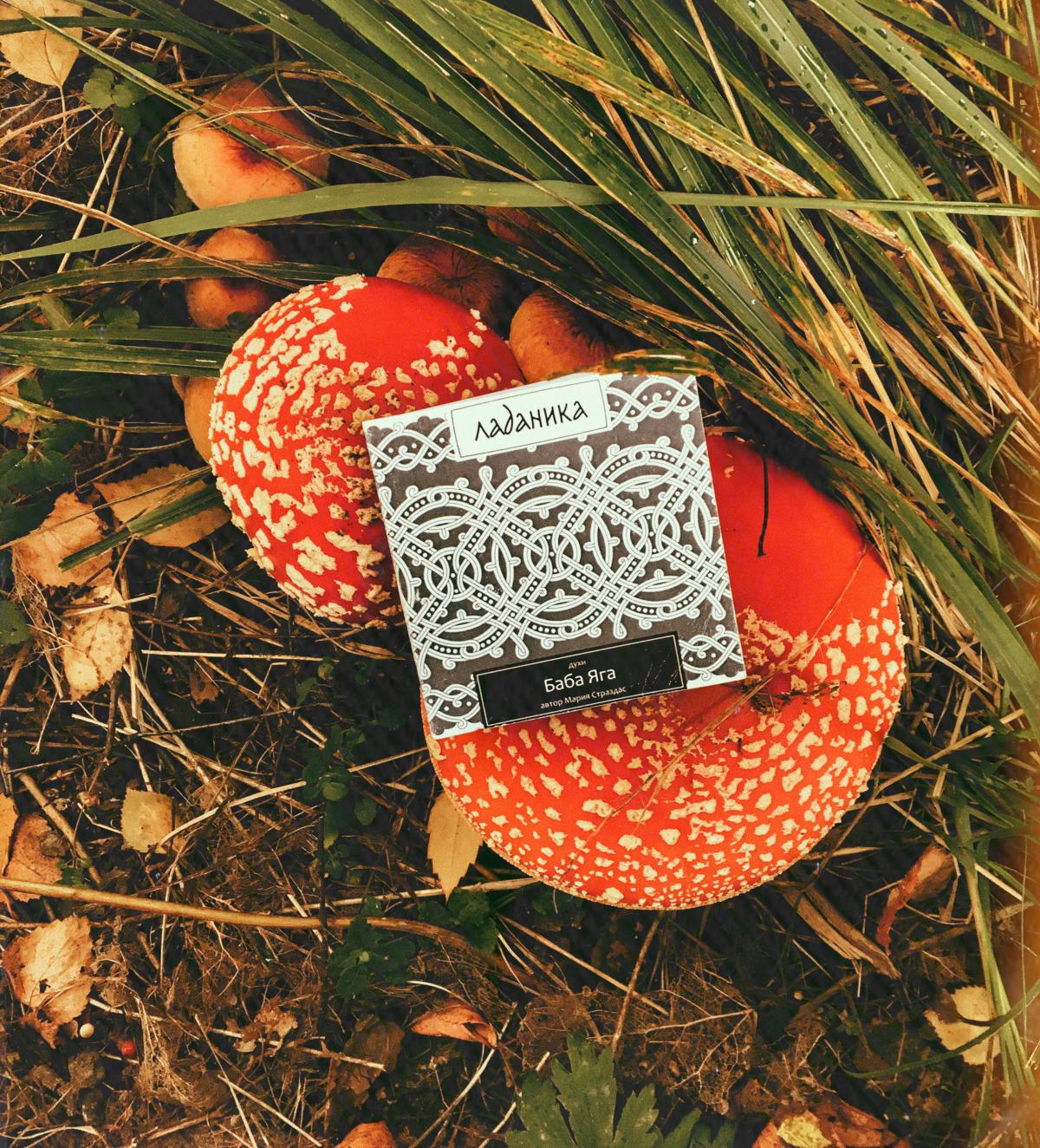 Baba Yaga Баба Яга - Ladanika - Gallery 3