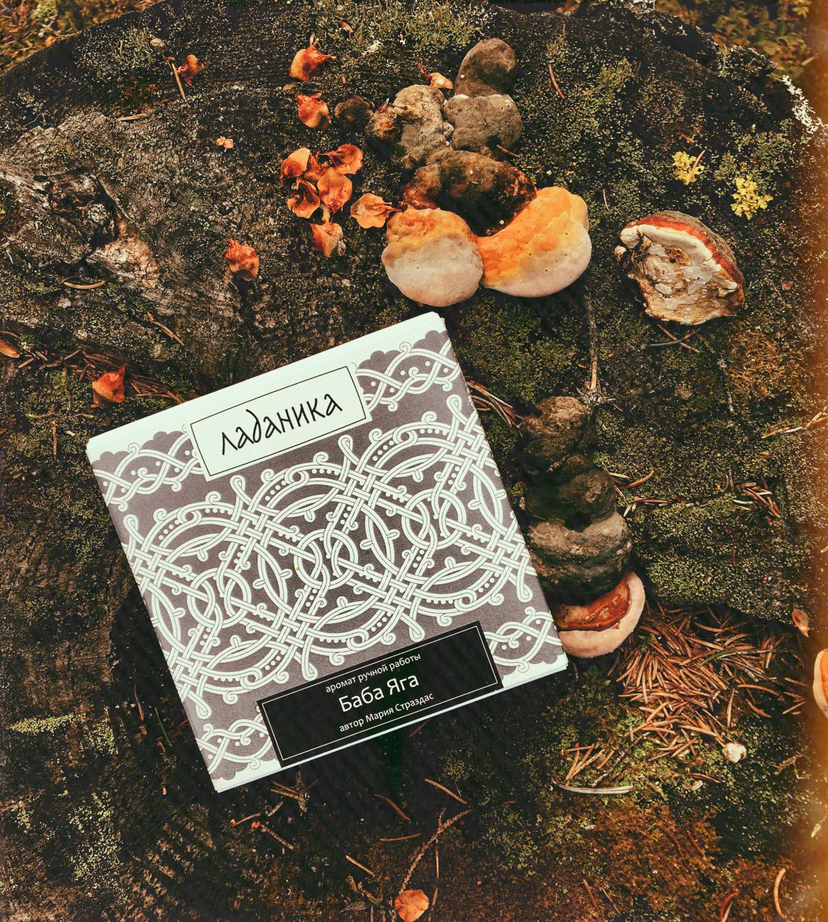 Baba Yaga Баба Яга - Ladanika - Gallery 2