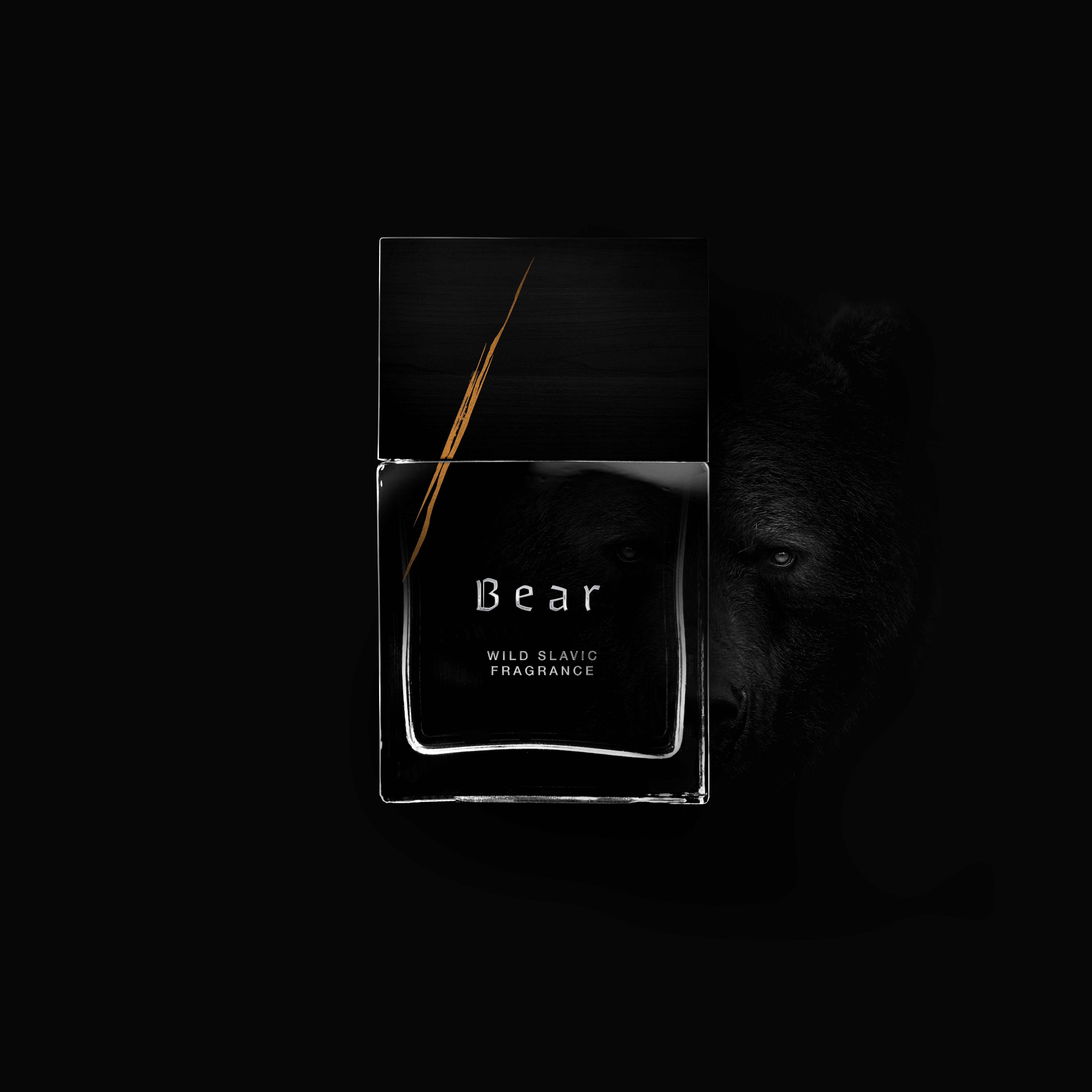 Bear - Wolf Brothers - Gallery 2