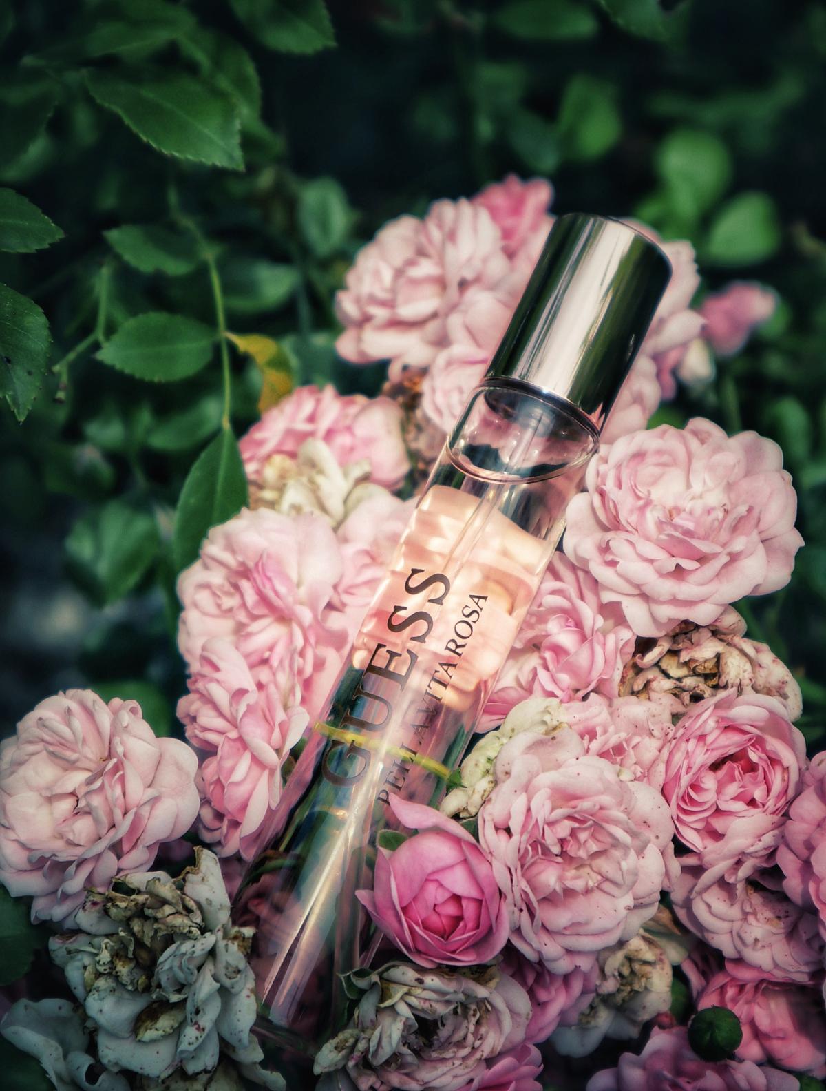 Bella Vita Rosa - Guess - Gallery 2