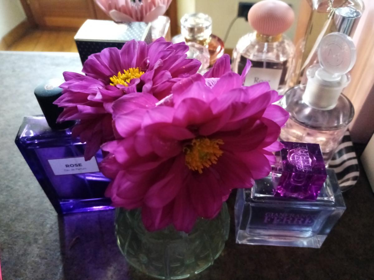 Blooming Rose - Gianfranco Ferre - Gallery 3