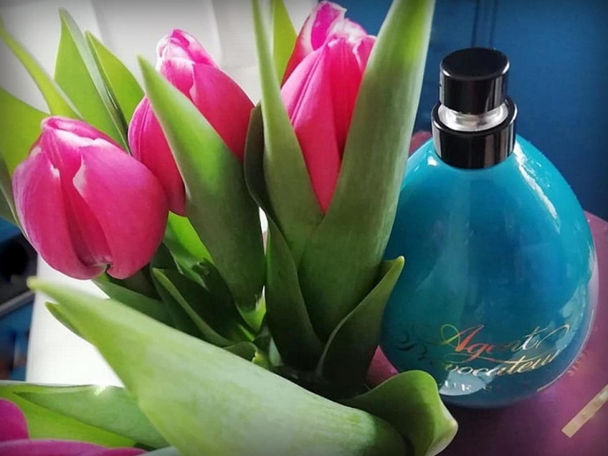 Blue Silk - Agent Provocateur - Gallery 1
