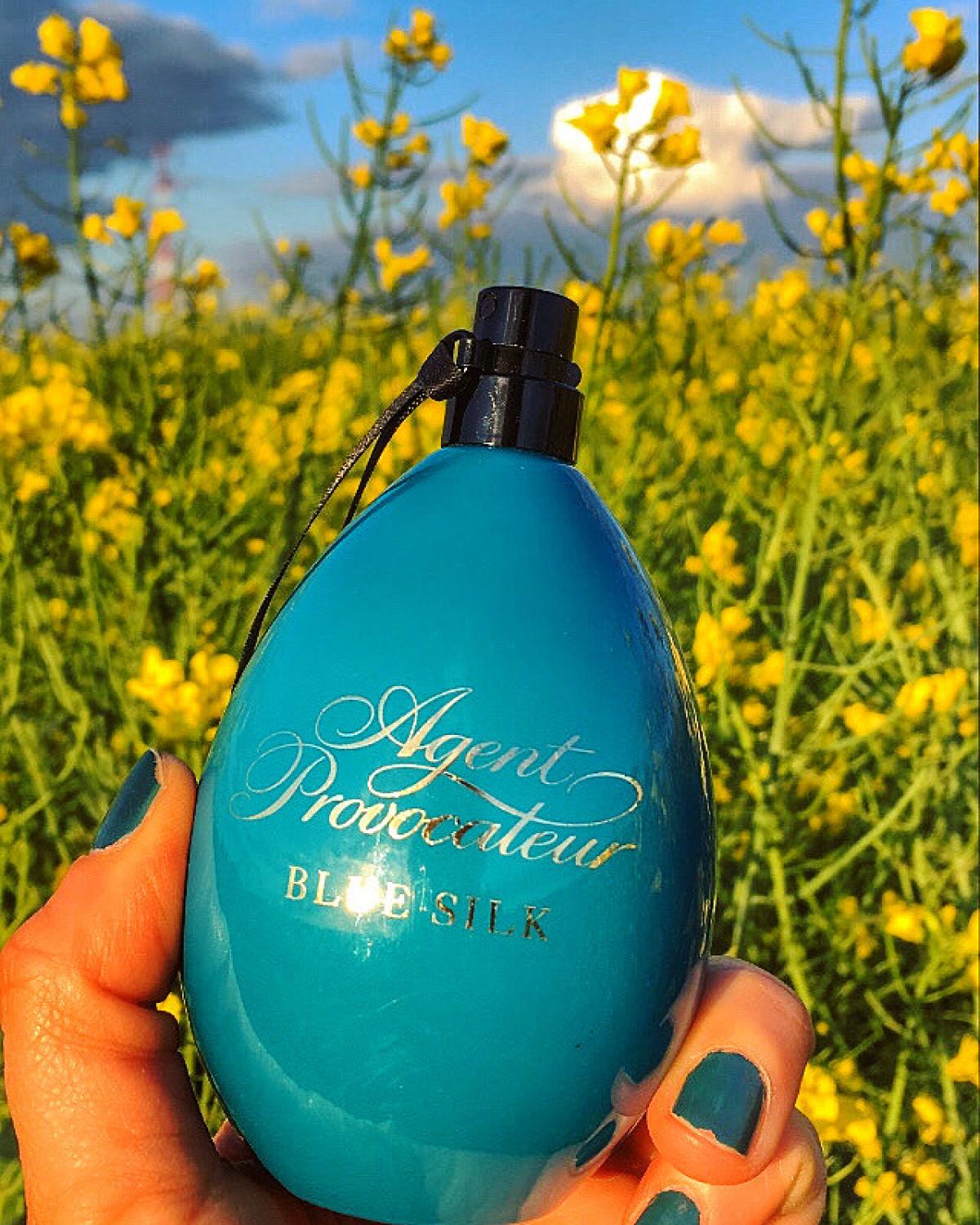Blue Silk - Agent Provocateur - Gallery 2