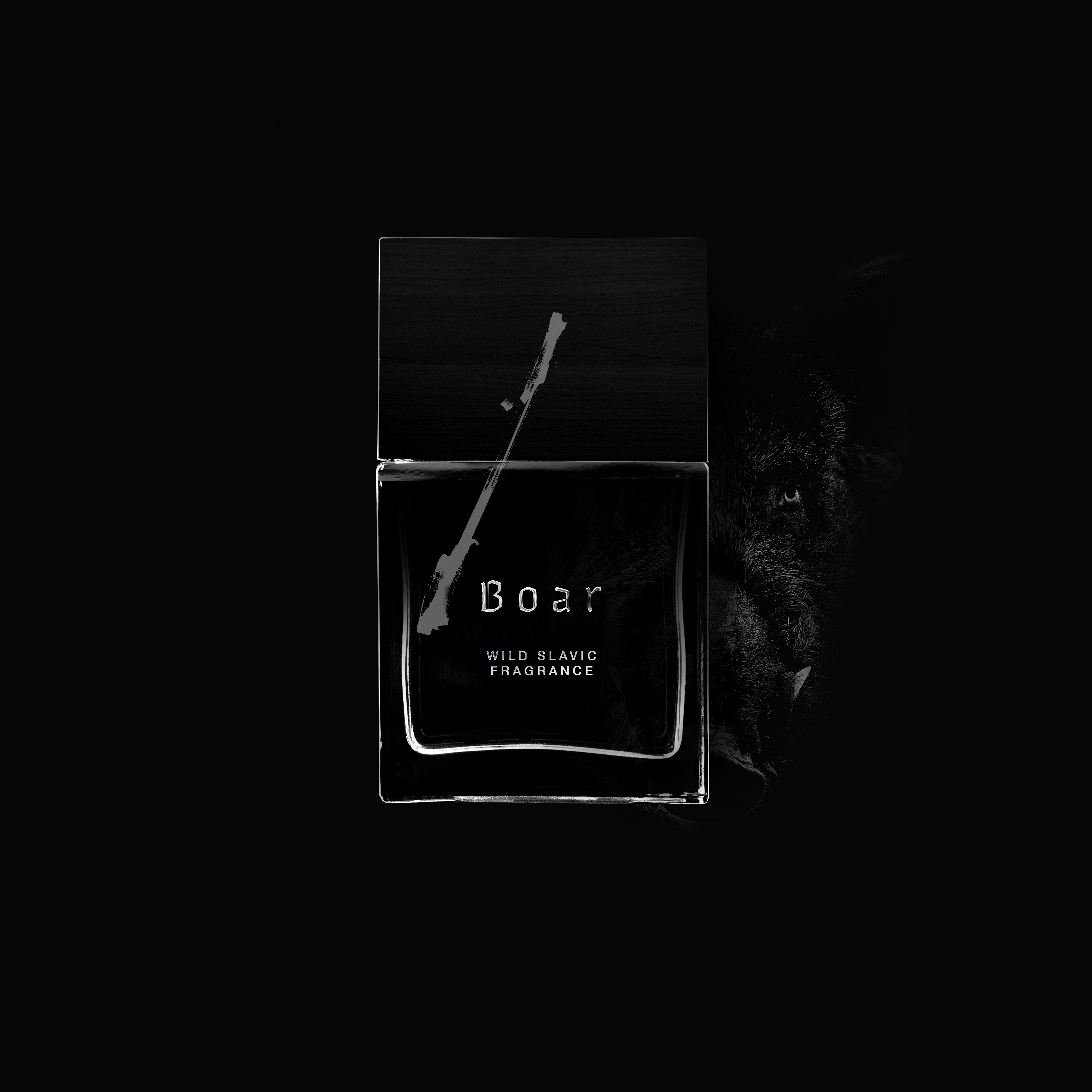 Boar - Wolf Brothers - Gallery 3