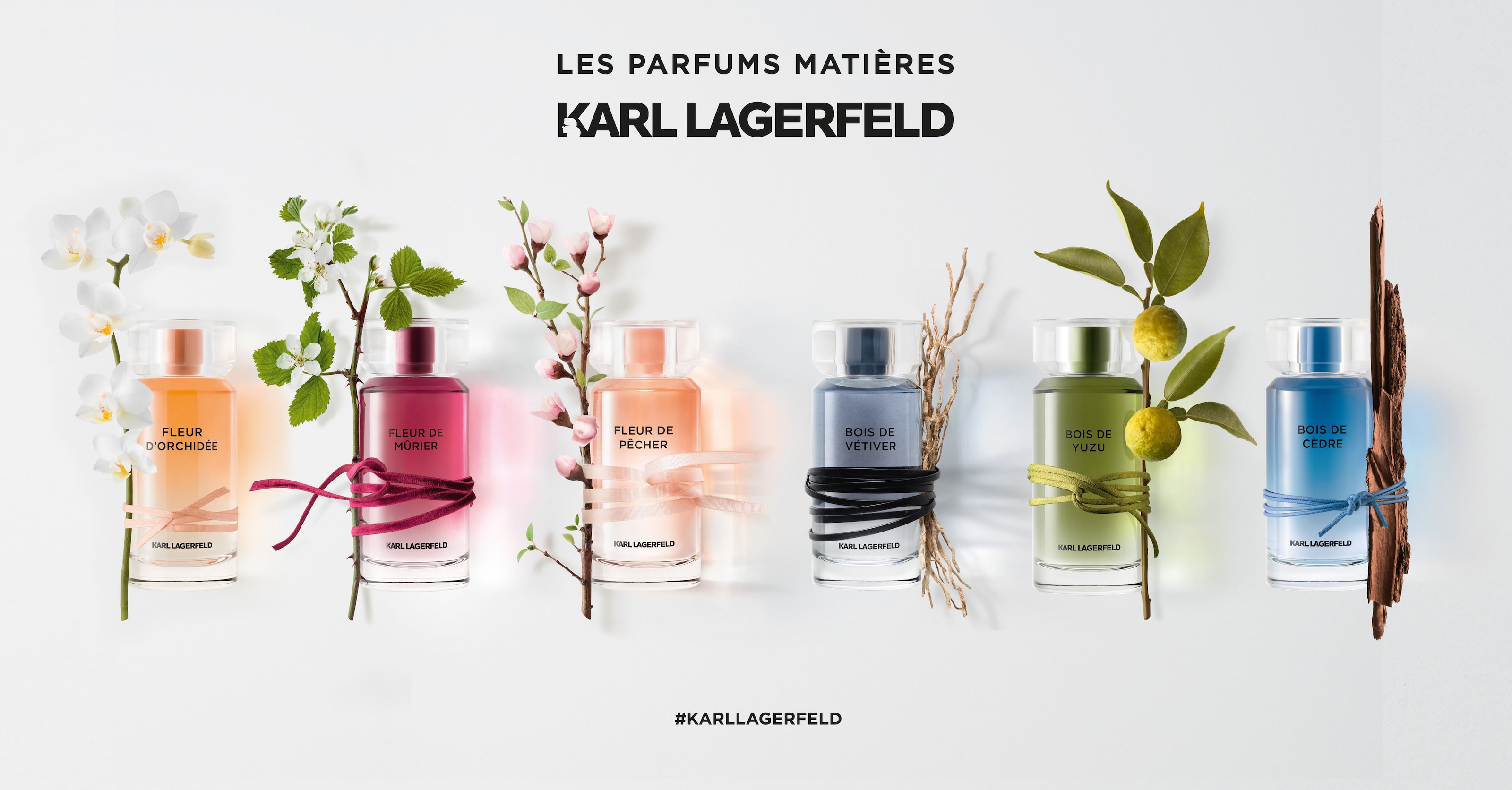 Bois de Cedre - Karl Lagerfeld - Gallery 4