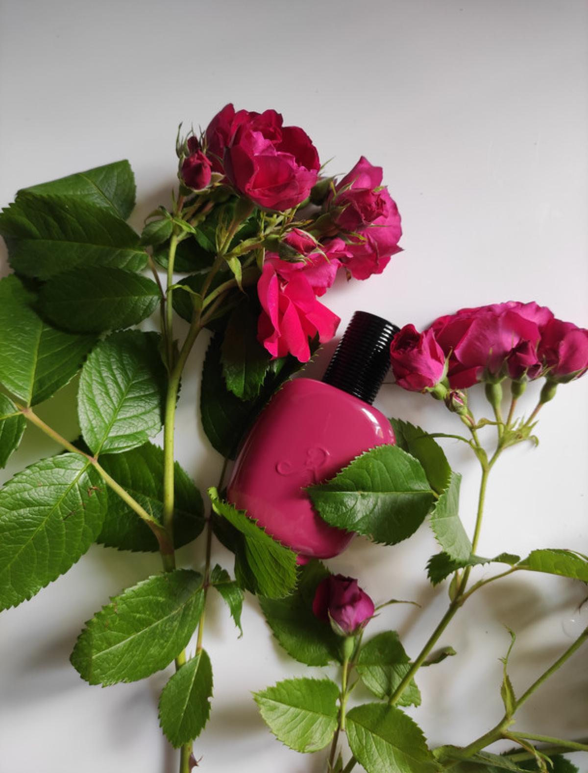 Bois Fuchsia - Les Parfums de Rosine - Gallery 2