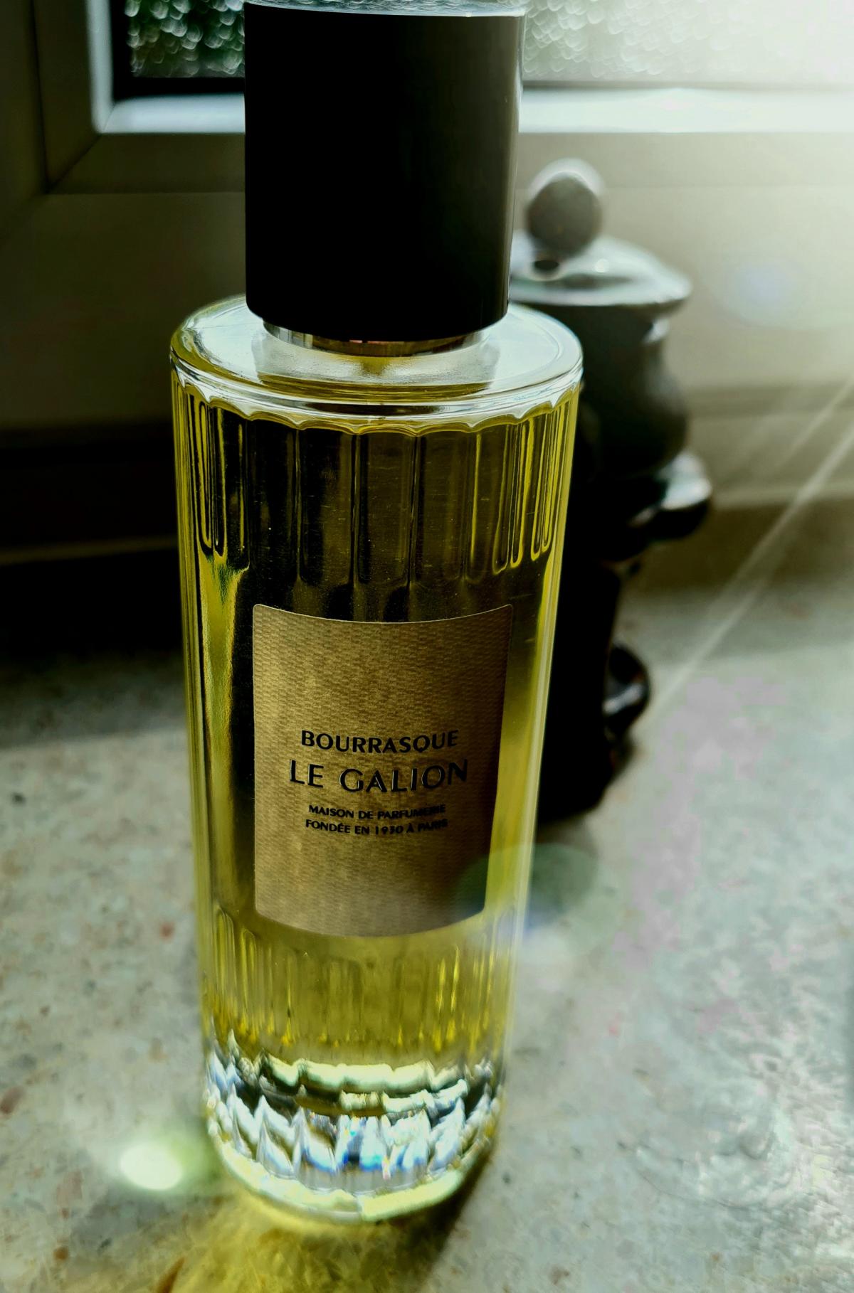 Bourrasque (2020) - Le Galion - Gallery 3