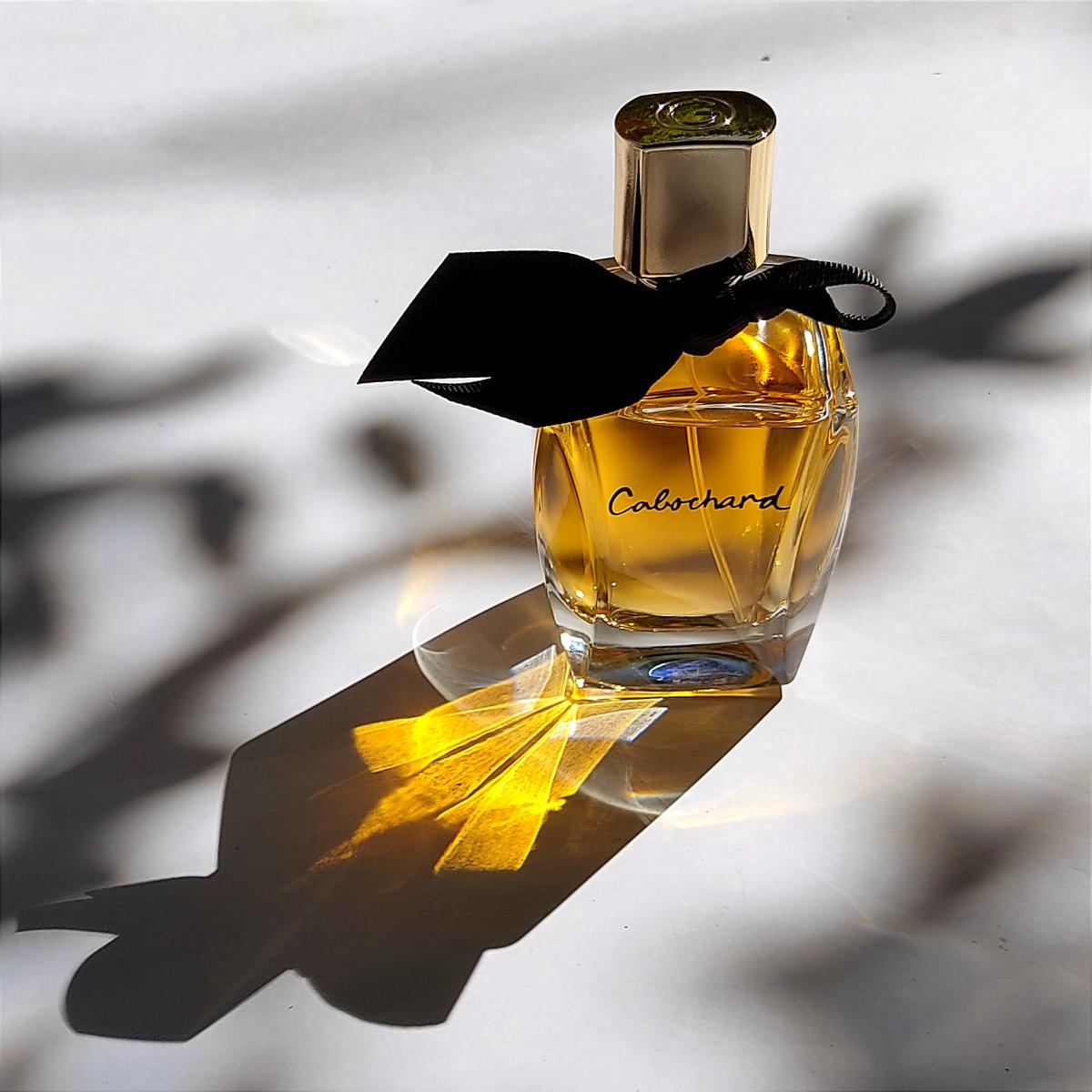 Cabochard Eau de Toilette 2019 - Grès - Gallery 1