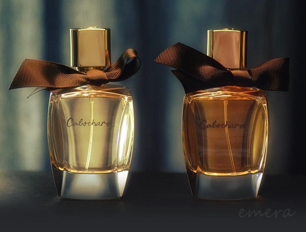 Cabochard Eau de Toilette 2019 - Grès - Gallery 2