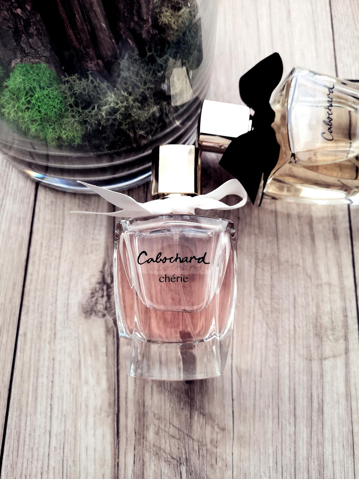 Cabochard Eau de Toilette 2019 - Grès - Gallery 2