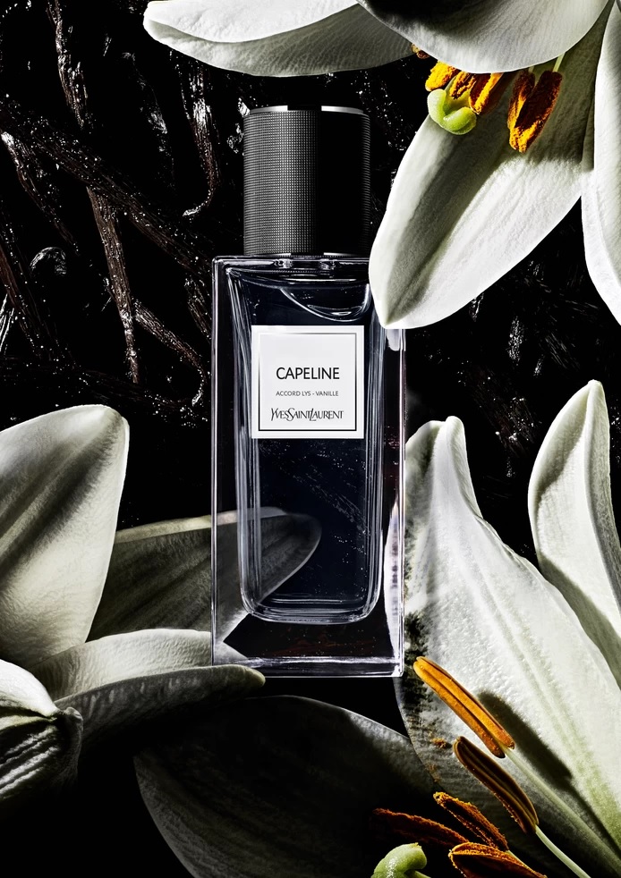 Capeline - Yves Saint Laurent - Gallery 1