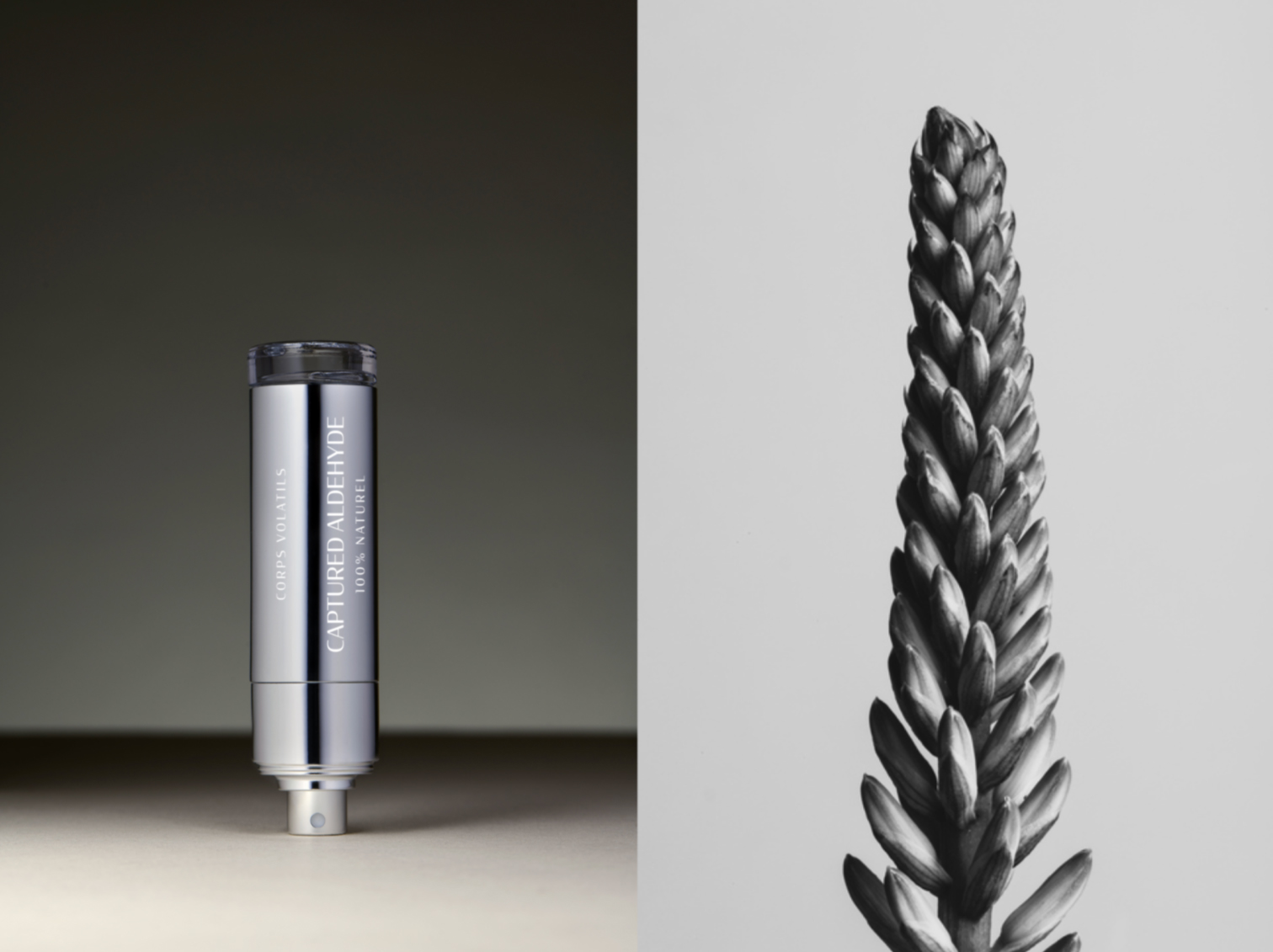 Captured Aldehyde - Corps Volatils - Gallery 1
