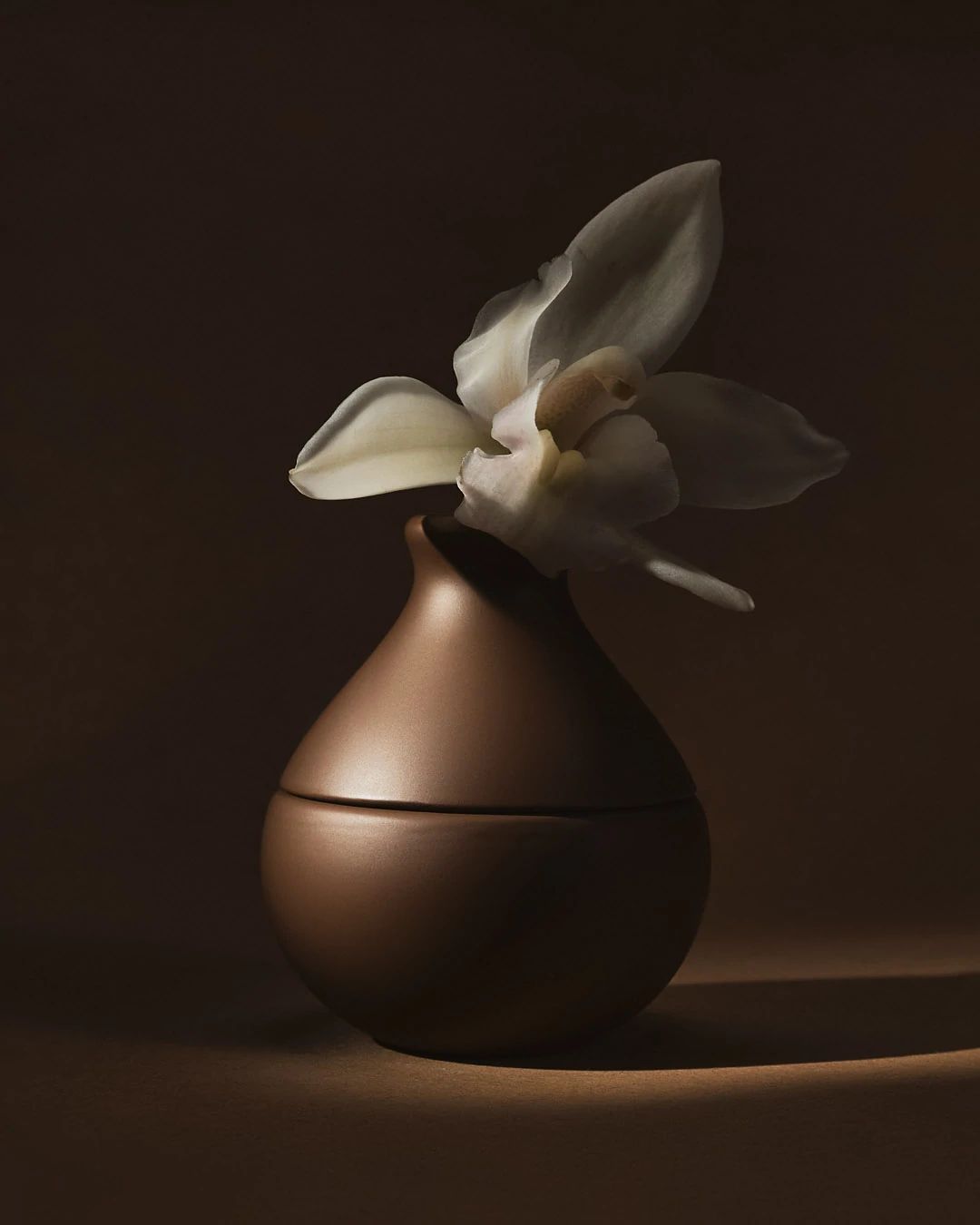 Caramel Orchid - KKW Fragrance - Gallery 4