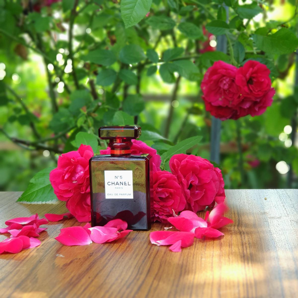 Chanel No 5 Eau de Parfum Red Edition - Chanel - Gallery 2