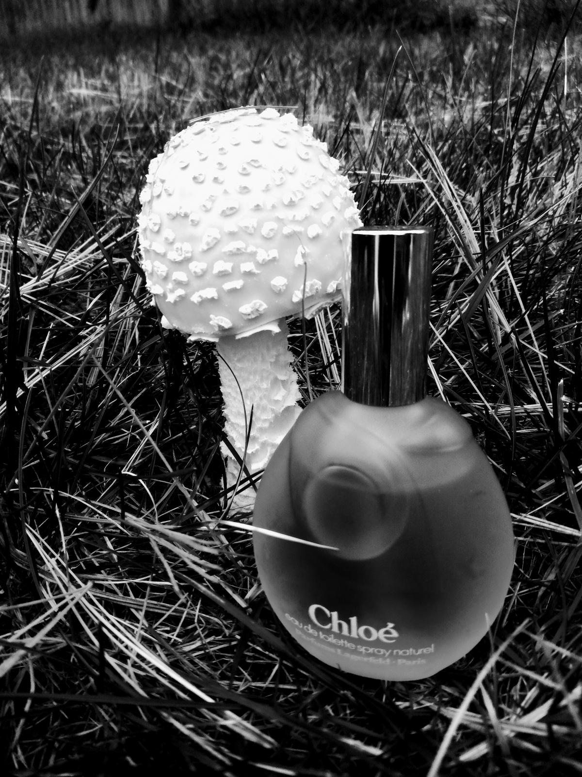 Chloé (Parfums Lagerfeld) - Karl Lagerfeld - Gallery 3