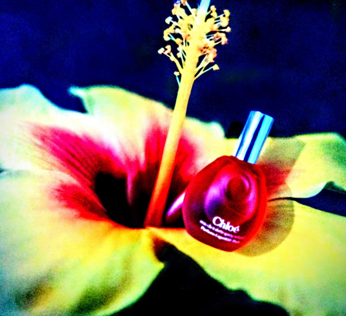 Chloé (Parfums Lagerfeld) - Karl Lagerfeld - Gallery 1