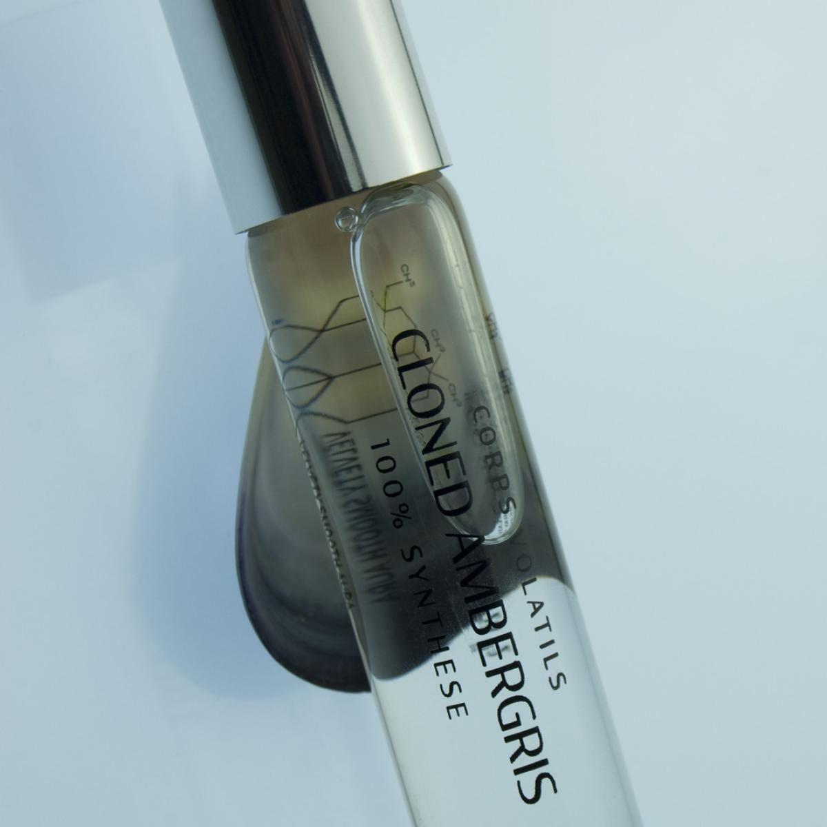 Cloned Ambergris - Corps Volatils - Gallery 3