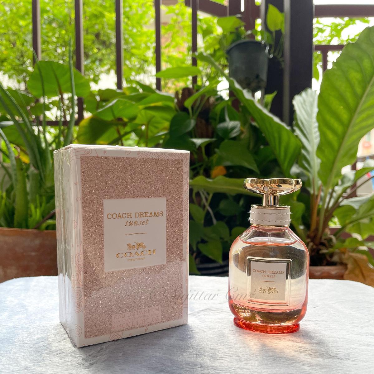 Coach Dreams Sunset - Coach - Gallery 2