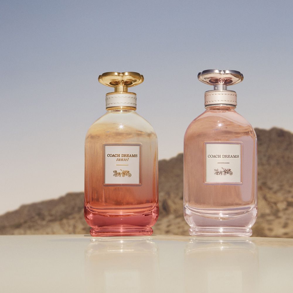 Coach Dreams Sunset - Coach - Gallery 2
