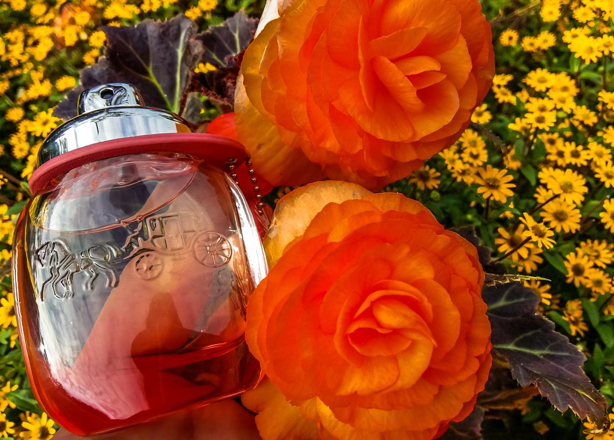 Coach Floral Blush - Coach - Gallery 3